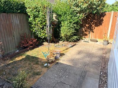 Picture 11